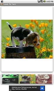 How to mod Lovely Pet Farm 1.0 mod apk for bluestacks