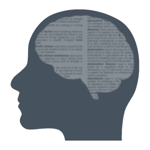 IELTS Vocabulary 1.1