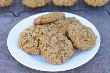Pumpkin Oatmeal Scotchies