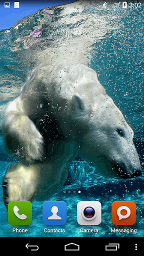 【免費個人化App】Polar Bear Underwater-APP點子