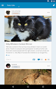 WordPress - screenshot thumbnail
