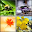 Simple Puzzle Download on Windows