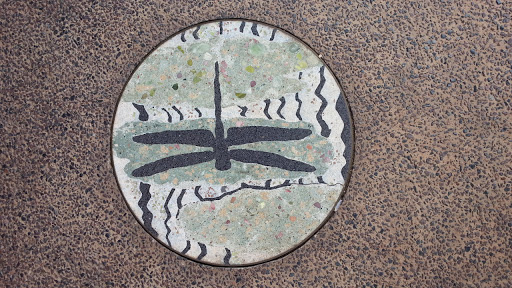Dragonfly Aboriginal Art