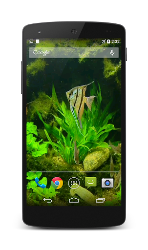 免費下載個人化APP|Fish Tank HD Live Wallpaper app開箱文|APP開箱王