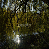Reflection by Nasr Qureshi -  