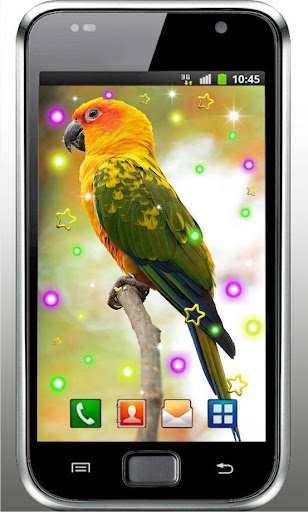 Parrot Summer live wallpaper