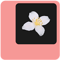 Jasmin icon
