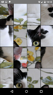 How to get Cats Puzzle patch 1.0 apk for android