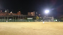 松山野球場