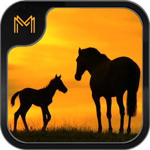 Name that Horse Breed Trivia 1.06