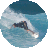 Magic Seaweed Surf Forecast icon