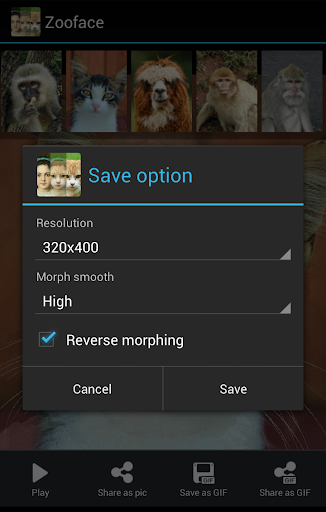 【免費攝影App】Zooface - GIF Animal Morph-APP點子