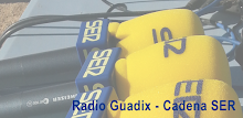 Radio chain guadix be APK