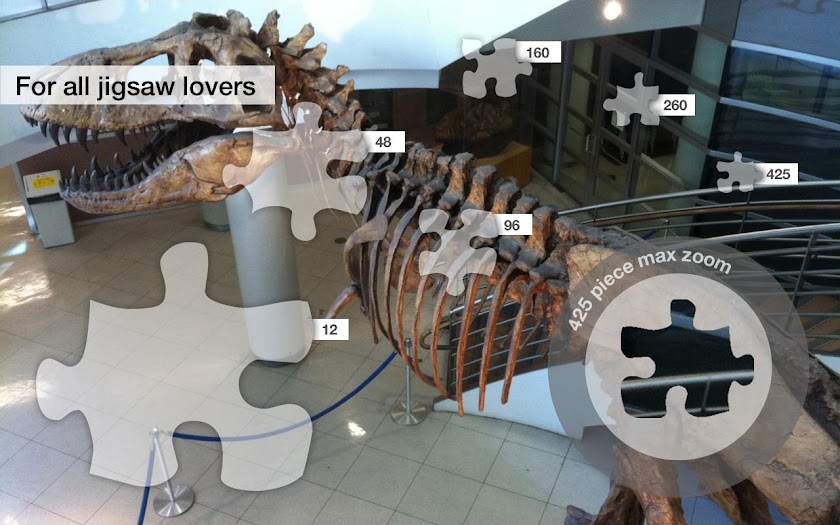 Jigsaw Puzzles: Dino Fossils Screen 2