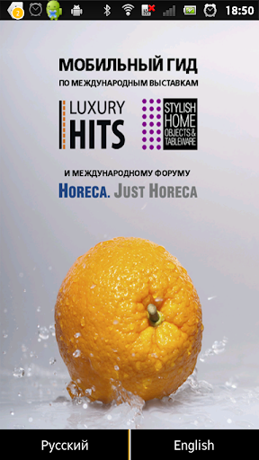 LuxuryHits 2014