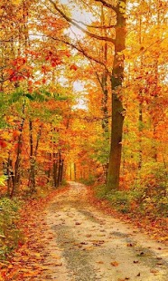 How to mod Autumn Live Wallpapers 1.0 mod apk for android