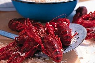 Louisiana Crawfish Boil