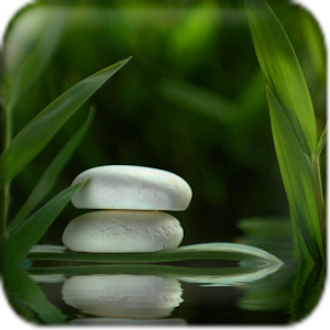 Zen Wallpaper 1.0.1