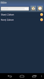 Czech Holy Bible poster 1