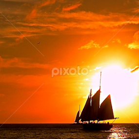 Rumbo al Sur by Carlos Casillas - Landscapes Sunsets & Sunrises