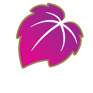 프리미엄 패션몰 하이브랜드 1.0.7