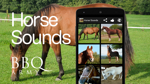 Horse Sounds