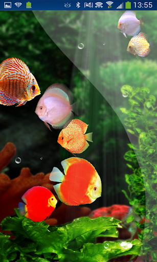 【免費個人化App】Fish Aquarium HD LWP Discus-APP點子