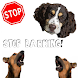 Stop Barking! (FREE)