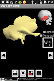 Skeletology (Nagomi) 2D poster 21