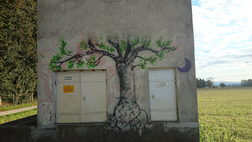 Groblje Graffiti