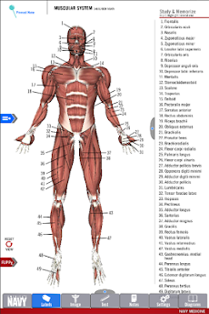 Anatomy Study Guideのおすすめ画像2
