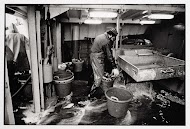 TX34 Sola Gratia. Het strippen van vis