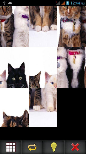 【免費棋類遊戲App】Pets Photo Puzzle-APP點子