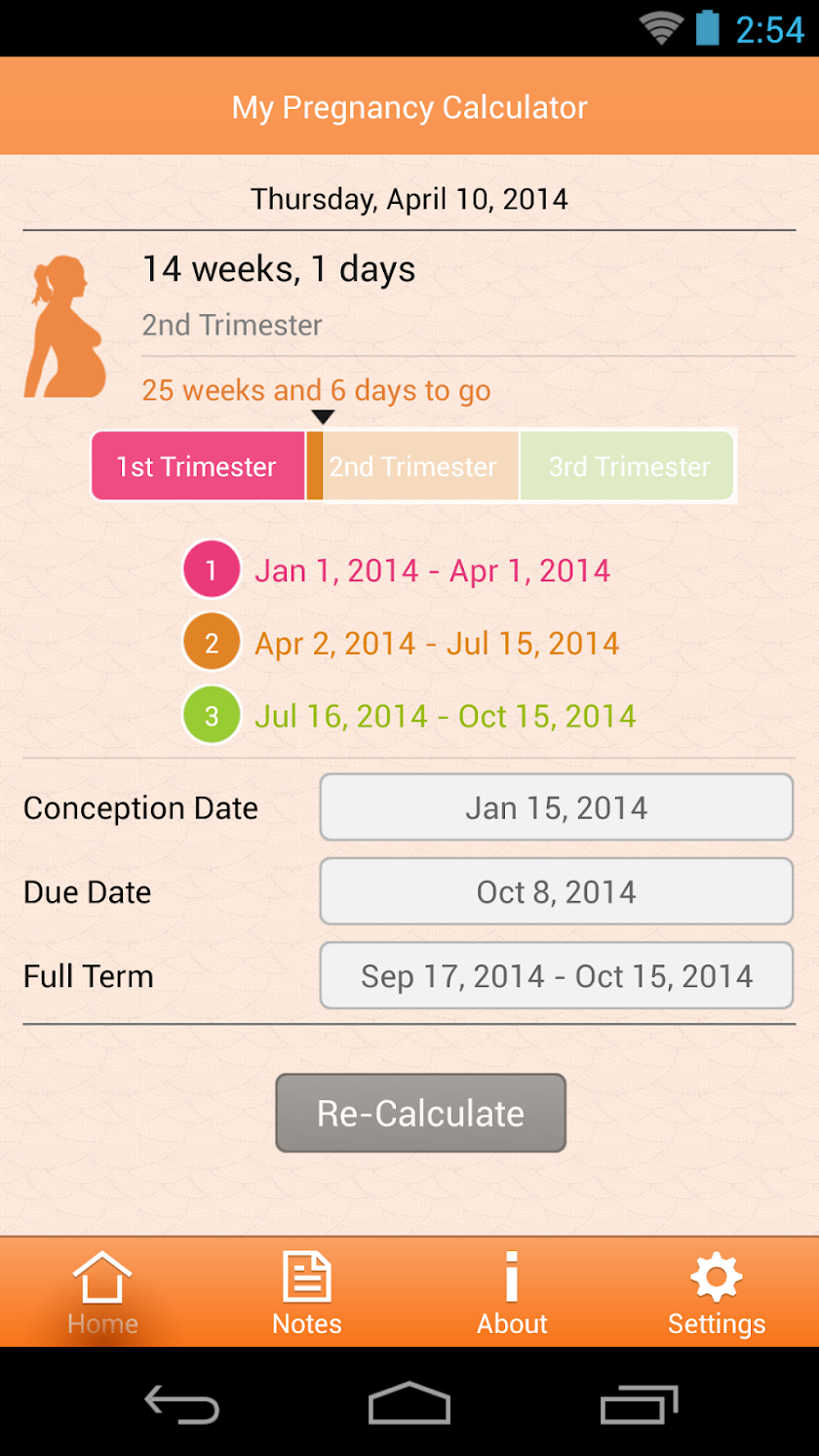 My Pregnancy Calculator Screen 2