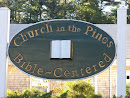 Church In The Pines
