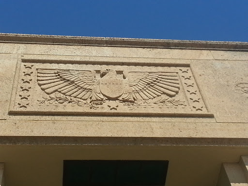 American Eagle And Shield