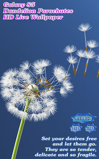 【免費個人化App】Galaxy S5 Dandelion Parachutes-APP點子