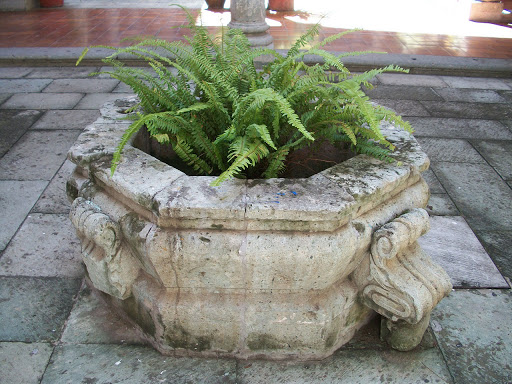 Old Flower Pot