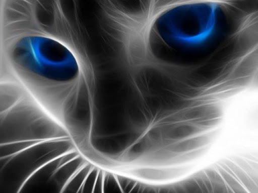 Digital Cat Wallpapers