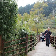 山上人家森林農場