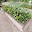 Raised Garden Beds Download on Windows