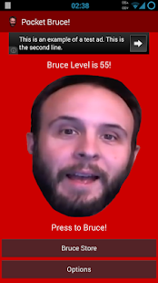 Lastest Pocket Bruce! APK for Android
