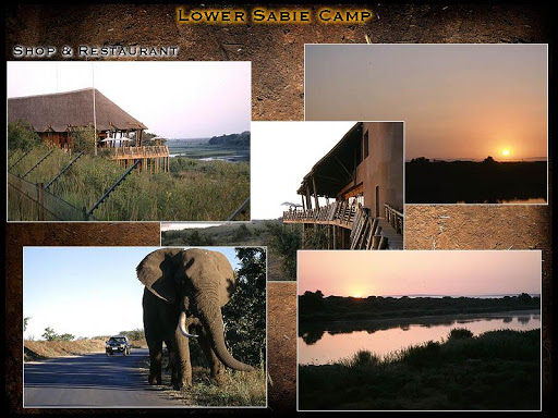 【免費旅遊App】Kruger Park, Videos of Camps-APP點子