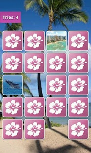 Hawaii Memory Game Screenshots 2
