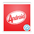 HoloRay - Android KitKat Theme1.4