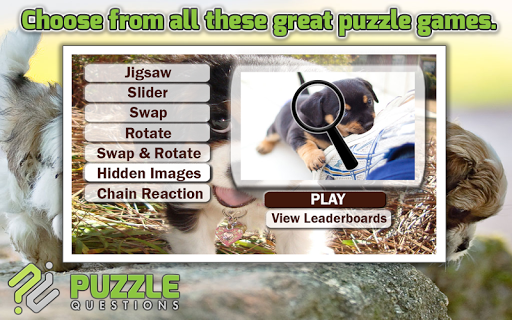 【免費解謎App】Free Cute Puppy Puzzle Games-APP點子