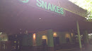 The Snake House