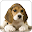 Dog Breeds Download on Windows
