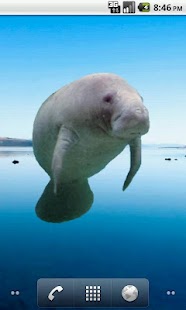 Download Manatee Sticker APK for Android