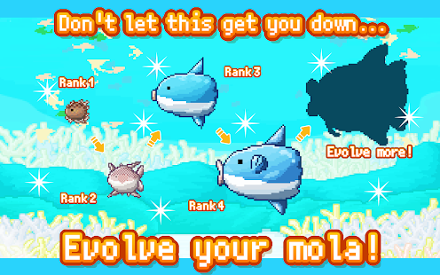 Survive! Mola mola!